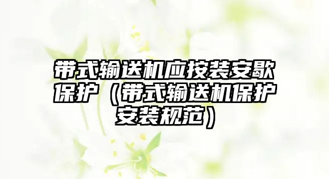 帶式輸送機(jī)應(yīng)按裝安歇保護(hù)（帶式輸送機(jī)保護(hù)安裝規(guī)范）