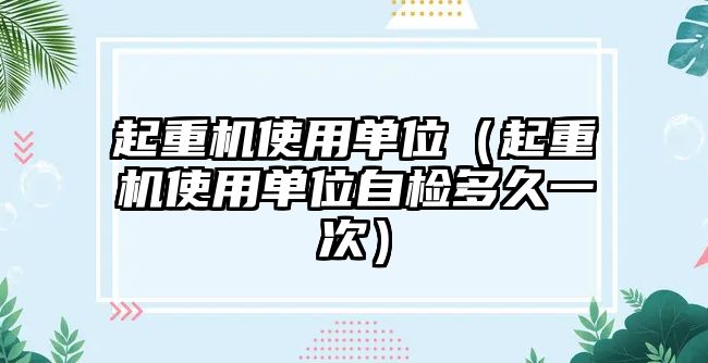 起重機使用單位（起重機使用單位自檢多久一次）