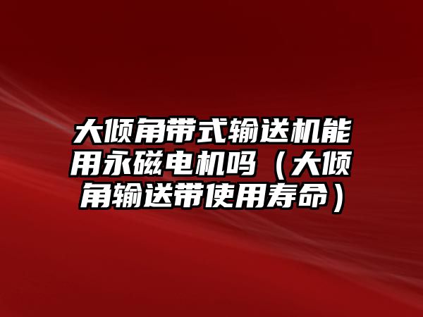 大傾角帶式輸送機能用永磁電機嗎（大傾角輸送帶使用壽命）