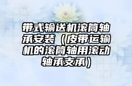 帶式輸送機(jī)滾筒軸承安裝（皮帶運輸機(jī)的滾筒軸用滾動軸承支承）