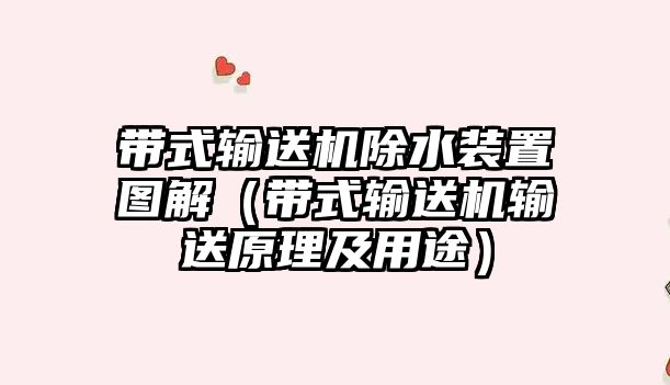 帶式輸送機除水裝置圖解（帶式輸送機輸送原理及用途）