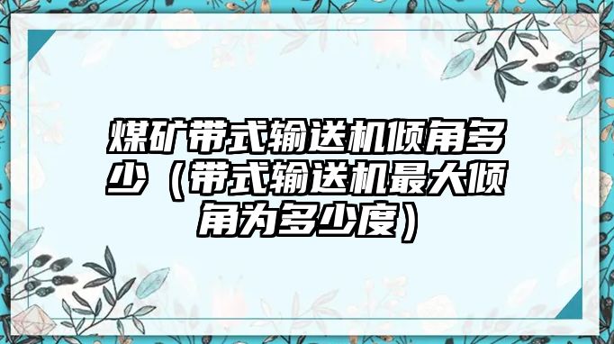 煤礦帶式輸送機(jī)傾角多少（帶式輸送機(jī)最大傾角為多少度）