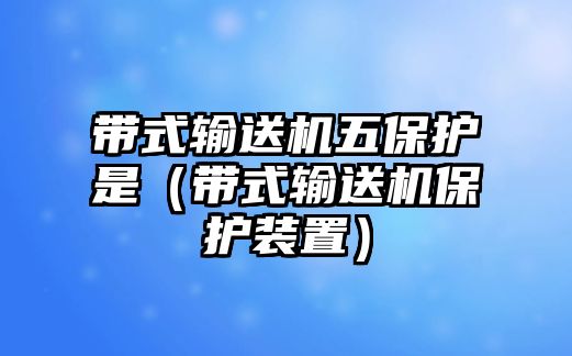 帶式輸送機五保護是（帶式輸送機保護裝置）