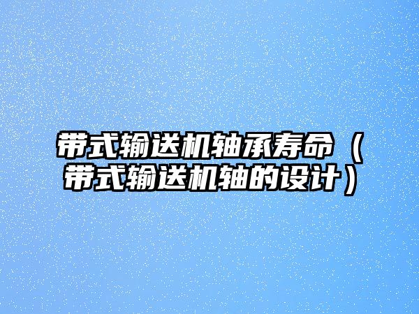 帶式輸送機(jī)軸承壽命（帶式輸送機(jī)軸的設(shè)計(jì)）