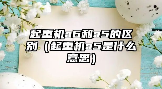 起重機a6和a5的區(qū)別（起重機a5是什么意思）