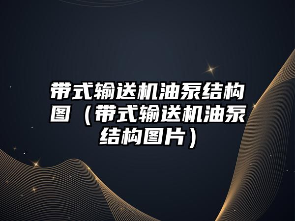 帶式輸送機油泵結(jié)構(gòu)圖（帶式輸送機油泵結(jié)構(gòu)圖片）