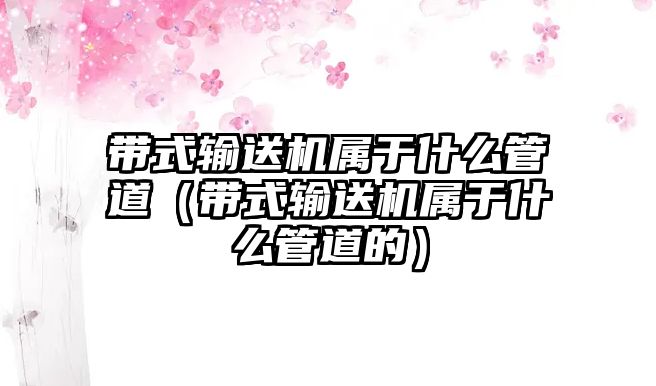 帶式輸送機(jī)屬于什么管道（帶式輸送機(jī)屬于什么管道的）