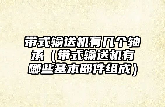 帶式輸送機有幾個軸承（帶式輸送機有哪些基本部件組成）