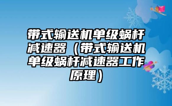 帶式輸送機單級蝸桿減速器（帶式輸送機單級蝸桿減速器工作原理）