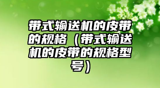 帶式輸送機(jī)的皮帶的規(guī)格（帶式輸送機(jī)的皮帶的規(guī)格型號）