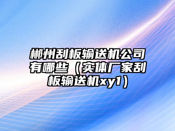 郴州刮板輸送機(jī)公司有哪些（實體廠家刮板輸送機(jī)xy1）