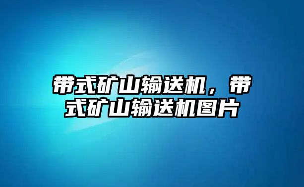 帶式礦山輸送機(jī)，帶式礦山輸送機(jī)圖片