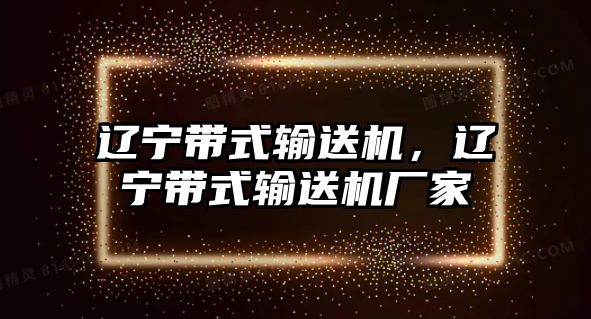 遼寧帶式輸送機(jī)，遼寧帶式輸送機(jī)廠家