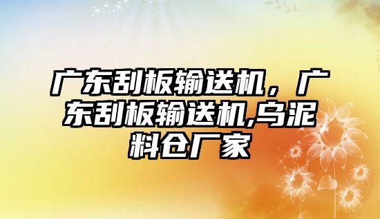 廣東刮板輸送機，廣東刮板輸送機,烏泥料倉廠家