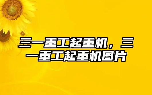 三一重工起重機，三一重工起重機圖片