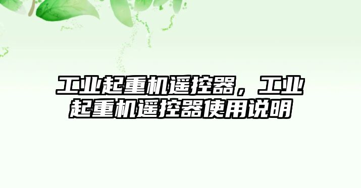 工業(yè)起重機遙控器，工業(yè)起重機遙控器使用說明