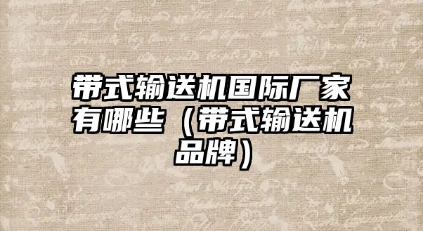 帶式輸送機(jī)國(guó)際廠家有哪些（帶式輸送機(jī)品牌）