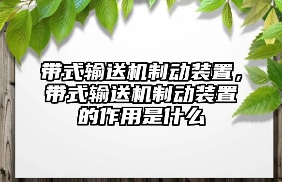 帶式輸送機制動裝置，帶式輸送機制動裝置的作用是什么