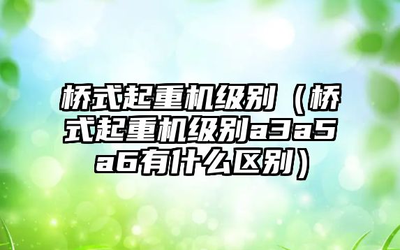 橋式起重機級別（橋式起重機級別a3a5a6有什么區(qū)別）