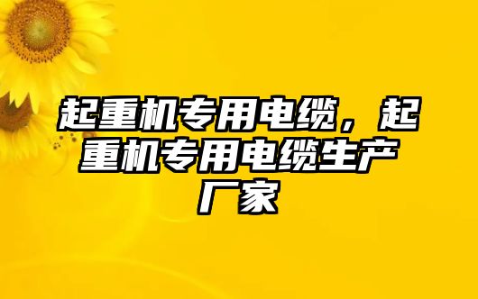 起重機專用電纜，起重機專用電纜生產(chǎn)廠家