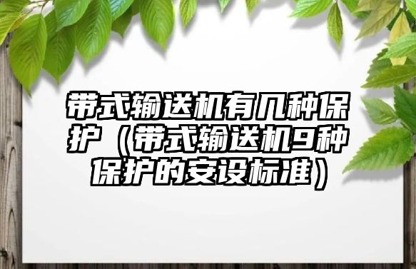 帶式輸送機有幾種保護（帶式輸送機9種保護的安設(shè)標準）