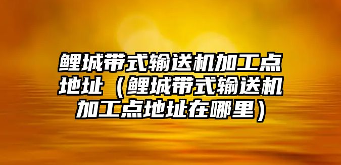 鯉城帶式輸送機加工點地址（鯉城帶式輸送機加工點地址在哪里）