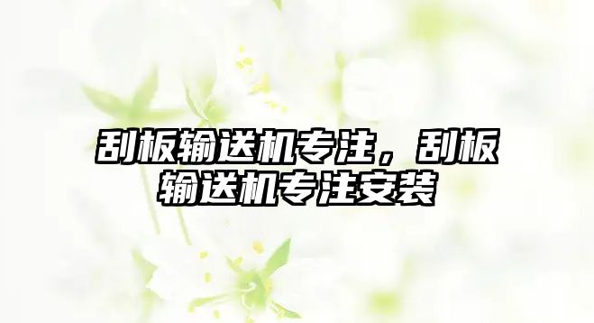 刮板輸送機專注，刮板輸送機專注安裝