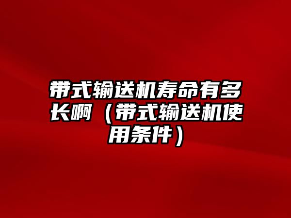 帶式輸送機壽命有多長啊（帶式輸送機使用條件）