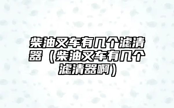 柴油叉車有幾個(gè)濾清器（柴油叉車有幾個(gè)濾清器?。? class=