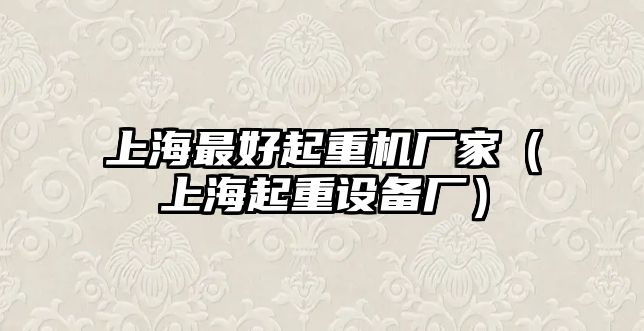 上海最好起重機(jī)廠家（上海起重設(shè)備廠）