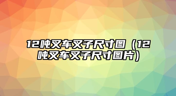 12噸叉車叉子尺寸圖（12噸叉車叉子尺寸圖片）