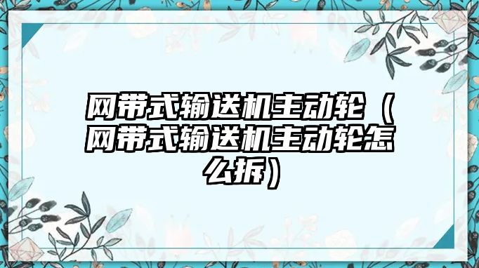 網(wǎng)帶式輸送機(jī)主動(dòng)輪（網(wǎng)帶式輸送機(jī)主動(dòng)輪怎么拆）