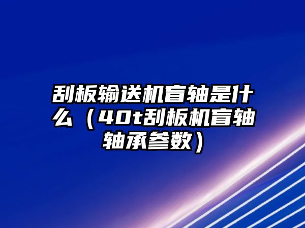 刮板輸送機(jī)盲軸是什么（40t刮板機(jī)盲軸軸承參數(shù)）