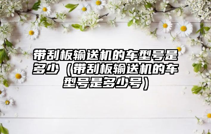 帶刮板輸送機(jī)的車型號(hào)是多少（帶刮板輸送機(jī)的車型號(hào)是多少號(hào)）