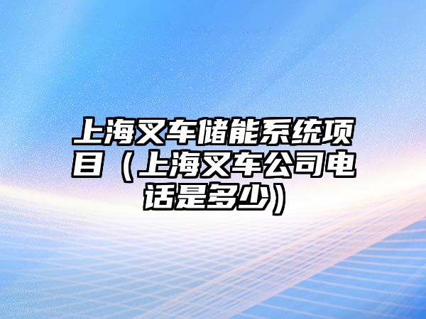 上海叉車儲能系統(tǒng)項目（上海叉車公司電話是多少）