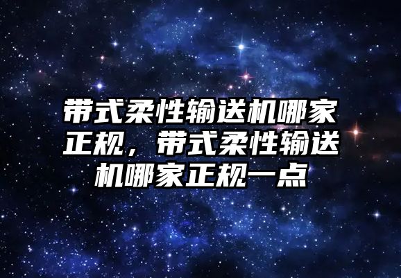 帶式柔性輸送機哪家正規(guī)，帶式柔性輸送機哪家正規(guī)一點