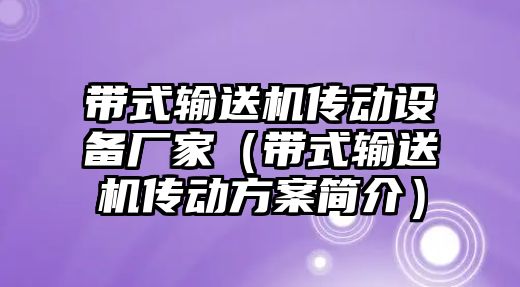 帶式輸送機傳動設(shè)備廠家（帶式輸送機傳動方案簡介）