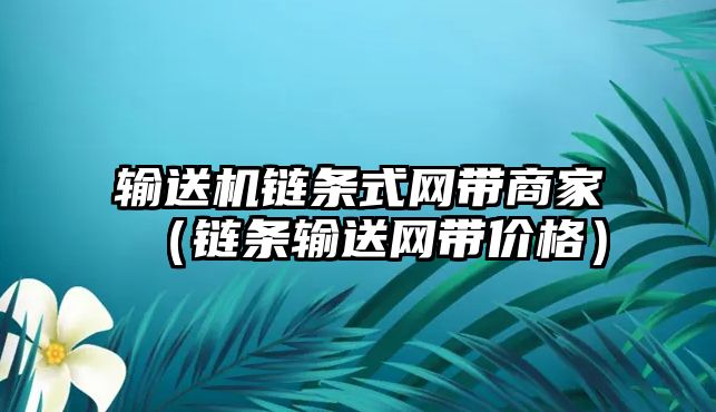 輸送機(jī)鏈條式網(wǎng)帶商家（鏈條輸送網(wǎng)帶價(jià)格）