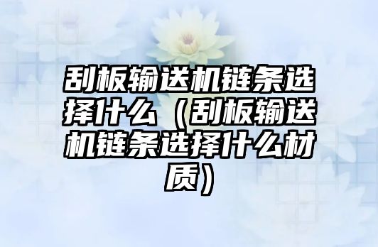 刮板輸送機(jī)鏈條選擇什么（刮板輸送機(jī)鏈條選擇什么材質(zhì)）