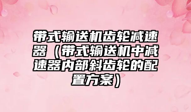 帶式輸送機齒輪減速器（帶式輸送機中減速器內(nèi)部斜齒輪的配置方案）