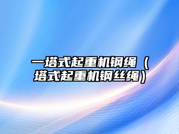 一塔式起重機鋼繩（塔式起重機鋼絲繩）