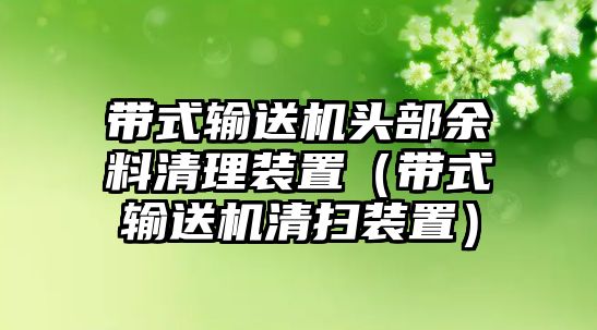 帶式輸送機(jī)頭部余料清理裝置（帶式輸送機(jī)清掃裝置）