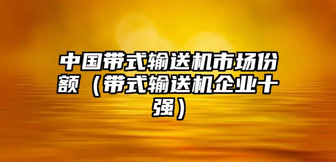 中國帶式輸送機市場份額（帶式輸送機企業(yè)十強）