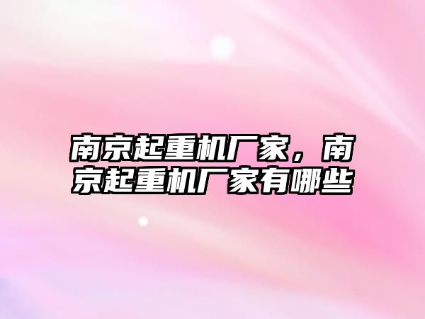 南京起重機廠家，南京起重機廠家有哪些