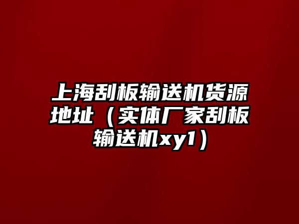 上海刮板輸送機(jī)貨源地址（實(shí)體廠家刮板輸送機(jī)xy1）