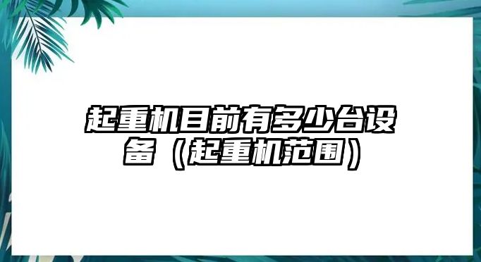 起重機(jī)目前有多少臺(tái)設(shè)備（起重機(jī)范圍）