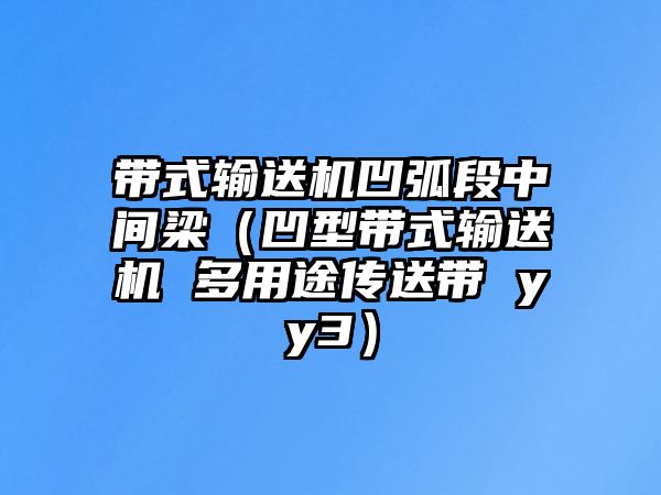 帶式輸送機(jī)凹弧段中間梁（凹型帶式輸送機(jī) 多用途傳送帶 yy3）