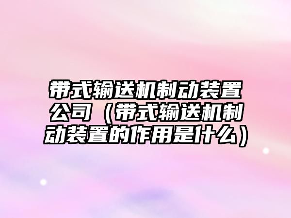 帶式輸送機制動裝置公司（帶式輸送機制動裝置的作用是什么）