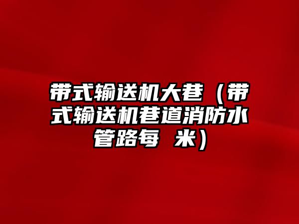 帶式輸送機大巷（帶式輸送機巷道消防水管路每 米）