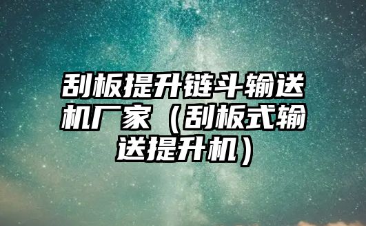 刮板提升鏈斗輸送機廠家（刮板式輸送提升機）